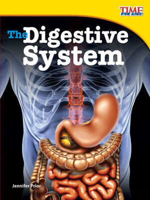 cover image of The Digestive System